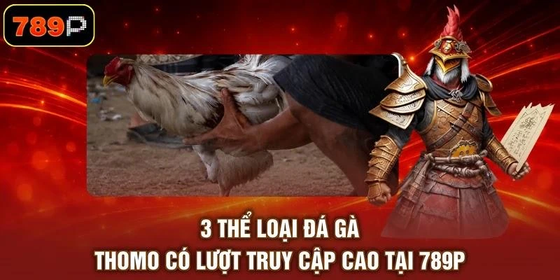 3-the-loai-da-ga-thomo-co-luot-truy-cap-cao-tai-789p 3 thể loại đá gà Thomo có lượt truy cập cao tại 789P