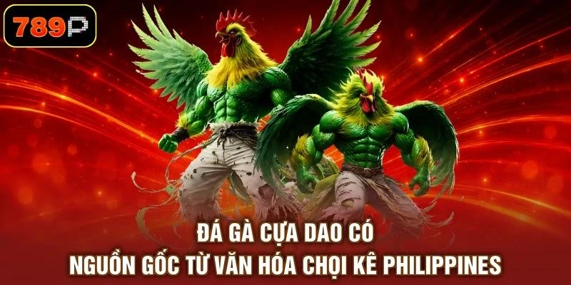 da-ga-cua-dao-co-nguon-goc-tu-van-hoa-choi-ke-philippines Đá gà cựa dao có nguồn gốc từ văn hóa chọi kê Philippines