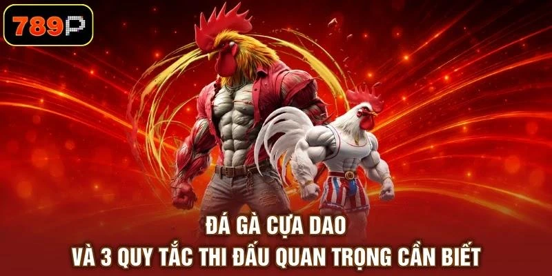 Đá Gà Cựa Dao Và 3 Quy Tắc Thi Đấu Quan Trọng Cần Biết 1 Đá Gà Cựa Dao Và 3 Quy Tắc Thi Đấu Quan Trọng Cần Biết