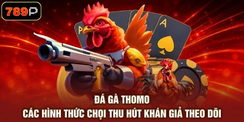 Đá Gà Thomo - Các Hình Thức Chọi Thu Hút Khán Giả Theo Dõi 1 Đá Gà Thomo - Các Hình Thức Chọi Thu Hút Khán Giả Theo Dõi