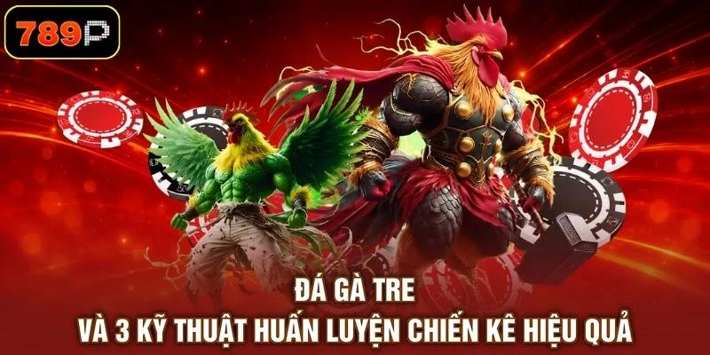 Đá Gà Tre Và 3 Kỹ Thuật Huấn Luyện Chiến Kê Hiệu Quả 1 Đá Gà Tre Và 3 Kỹ Thuật Huấn Luyện Chiến Kê Hiệu Quả